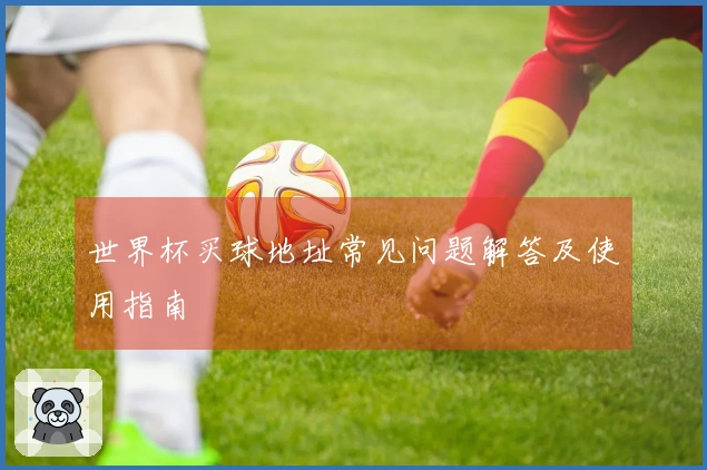 世界杯买球地址常见问题解答及使用指南
