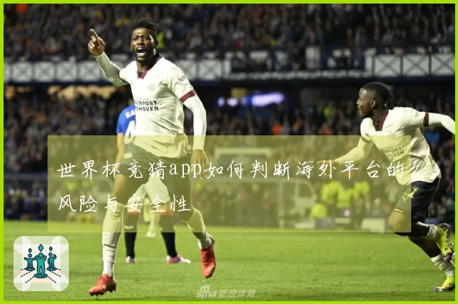 世界杯竞猜app如何判断海外平台的风险与安全性