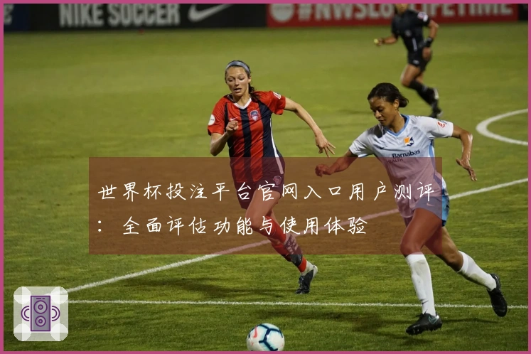 世界杯投注平台官网入口用户测评：全面评估功能与使用体验