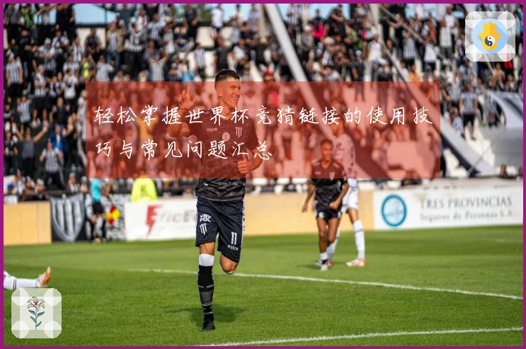 轻松掌握世界杯竞猜链接的使用技巧与常见问题汇总