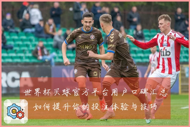 世界杯买球官方平台用户口碑汇总：如何提升你的投注体验与技巧
