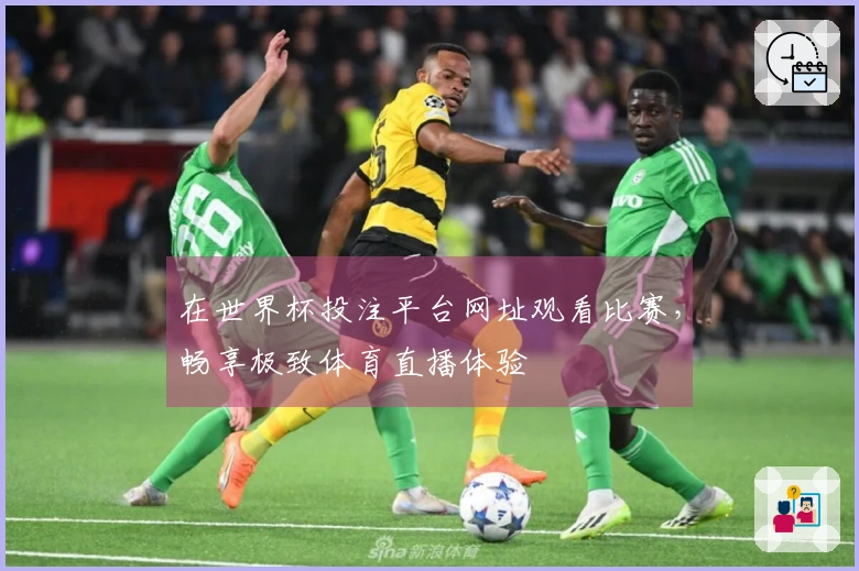 在世界杯投注平台网址观看比赛,畅享极致体育直播体验