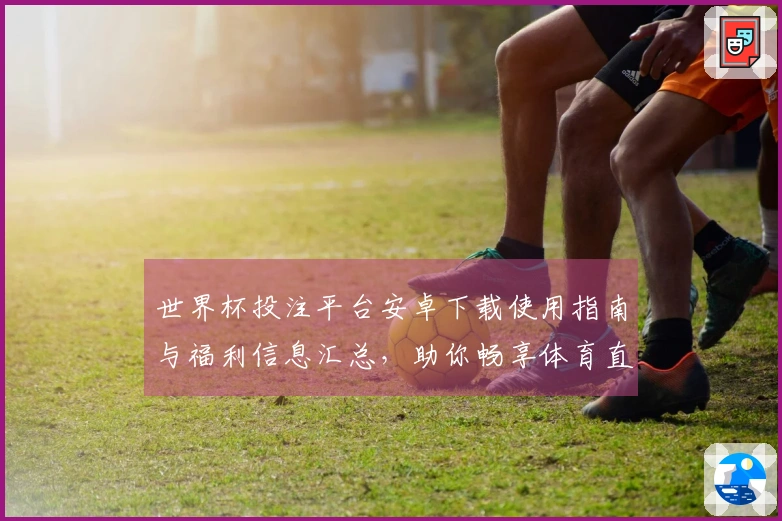 世界杯投注平台安卓下载使用指南与福利信息汇总，助你畅享体育直播体验