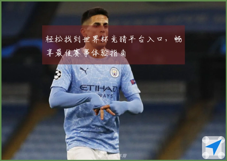 轻松找到世界杯竞猜平台入口，畅享最佳赛事体验指南