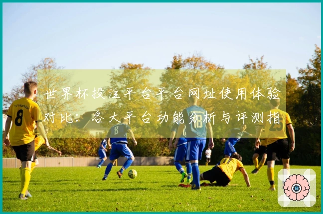 世界杯投注平台平台网址使用体验对比：各大平台功能分析与评测指南