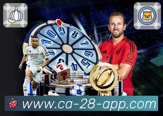 加拿大28 Sports 官方视觉图